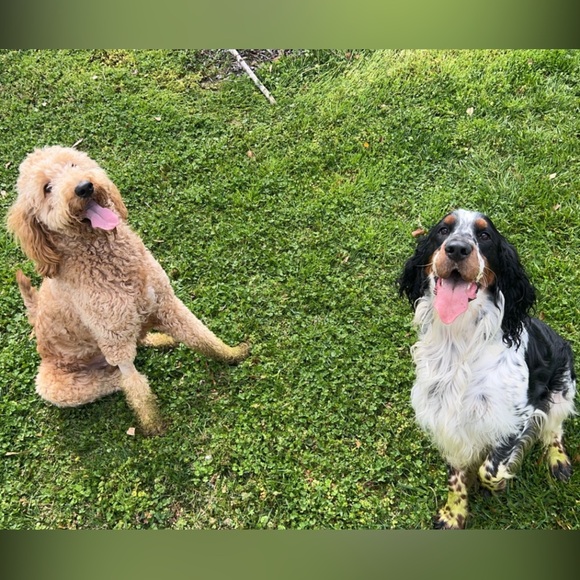 Bumble | All Natural Goat Milk Soap 2.5 oz Bar - Picture 7 of 7